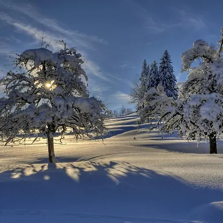 Tyrol - Partner Hotel Oberstaufen