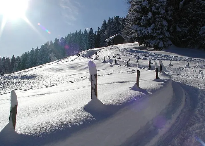 Tyrol - Partner Oberstaufen